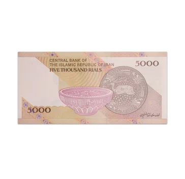 IRAN 5000 RIALS 2013_Back