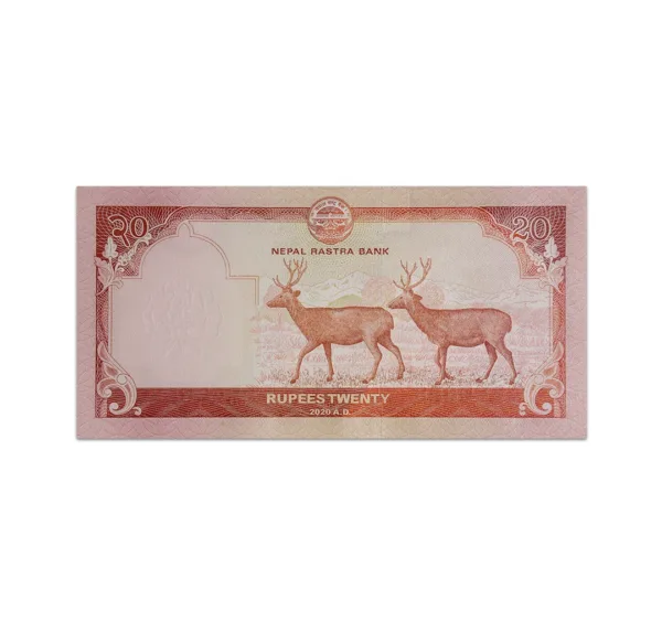 Nepal 20 Rupees 2020_back