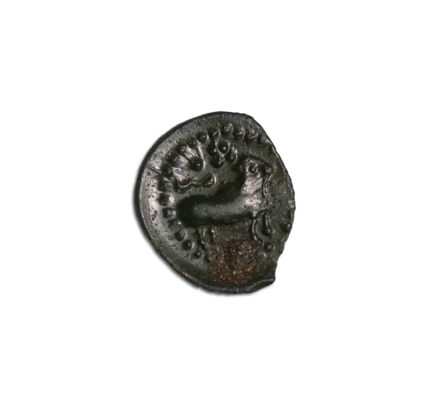 Pallava coin 1_Front